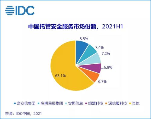 2021上半年中國IT安全服務市場躍升 整體收入約11.1億美元，同比增長達110%，互聯(lián)網(wǎng)接入及相關服務成關鍵驅(qū)動力